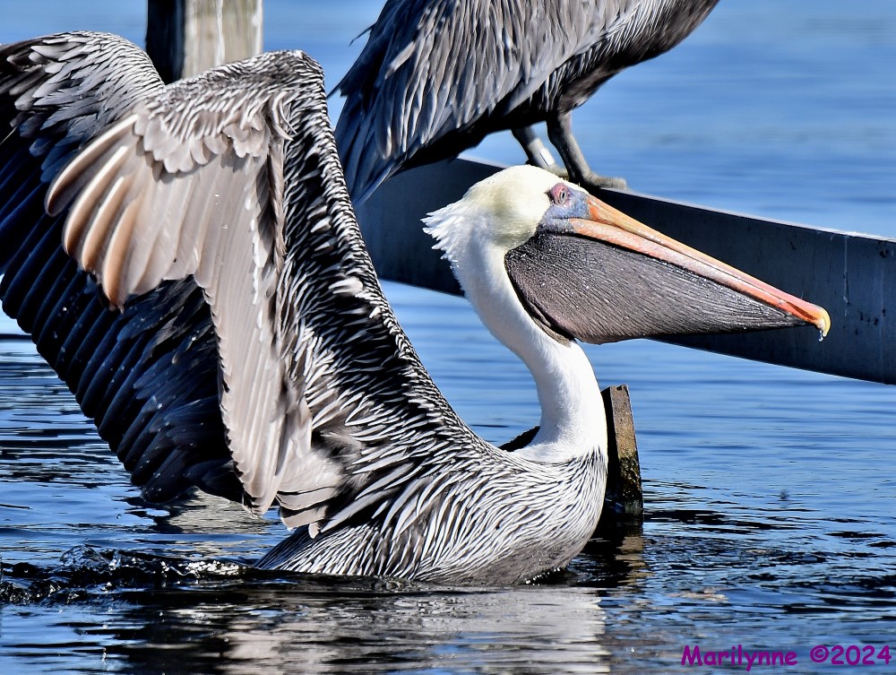 DSC_5582_001.JPG