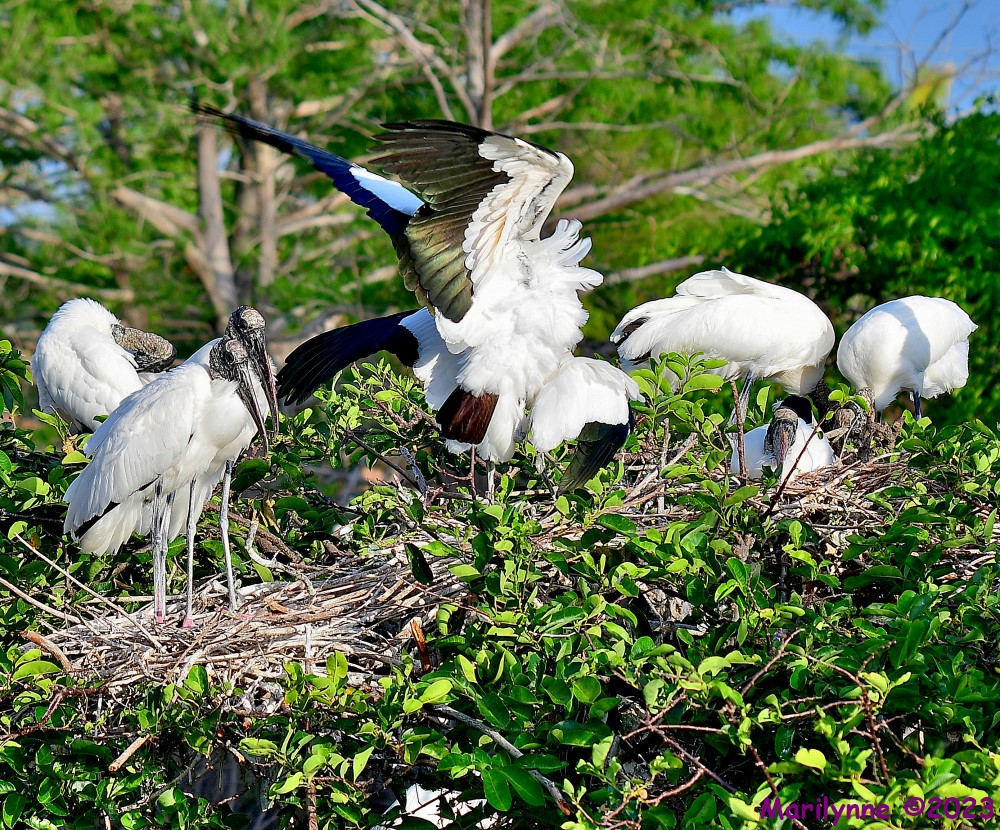 DSC_5583_001.JPG