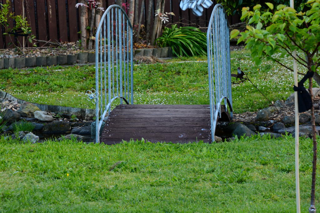 DSC_5588.jpg