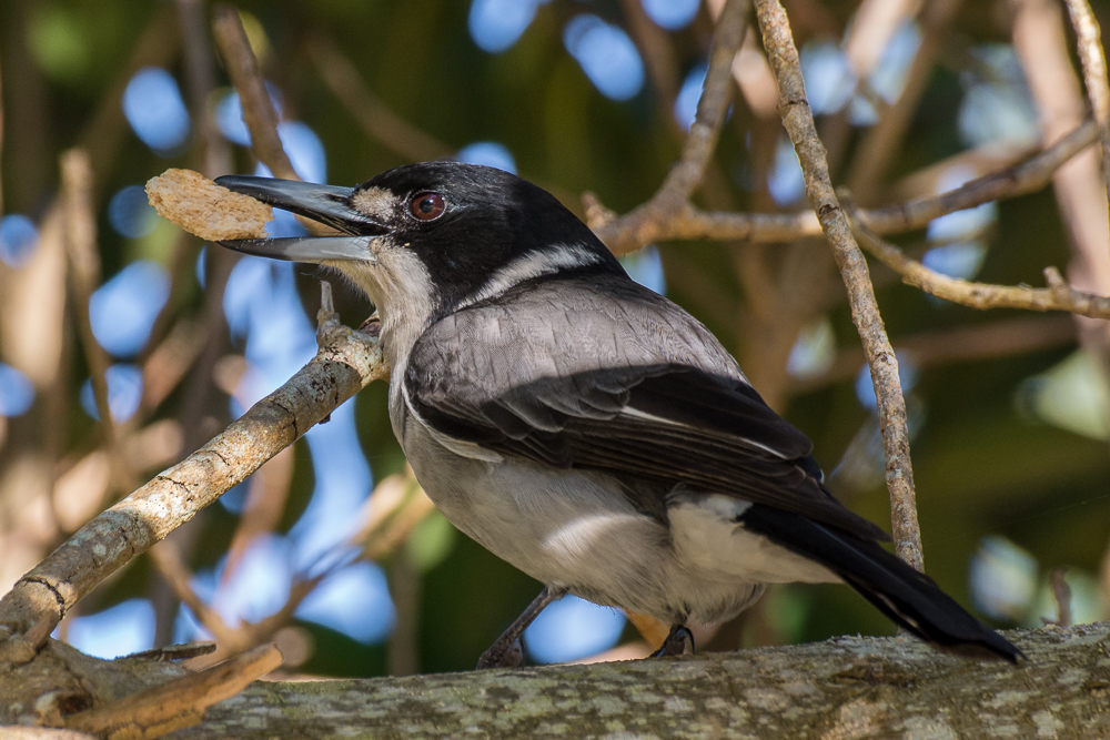 DSC_5589.jpg