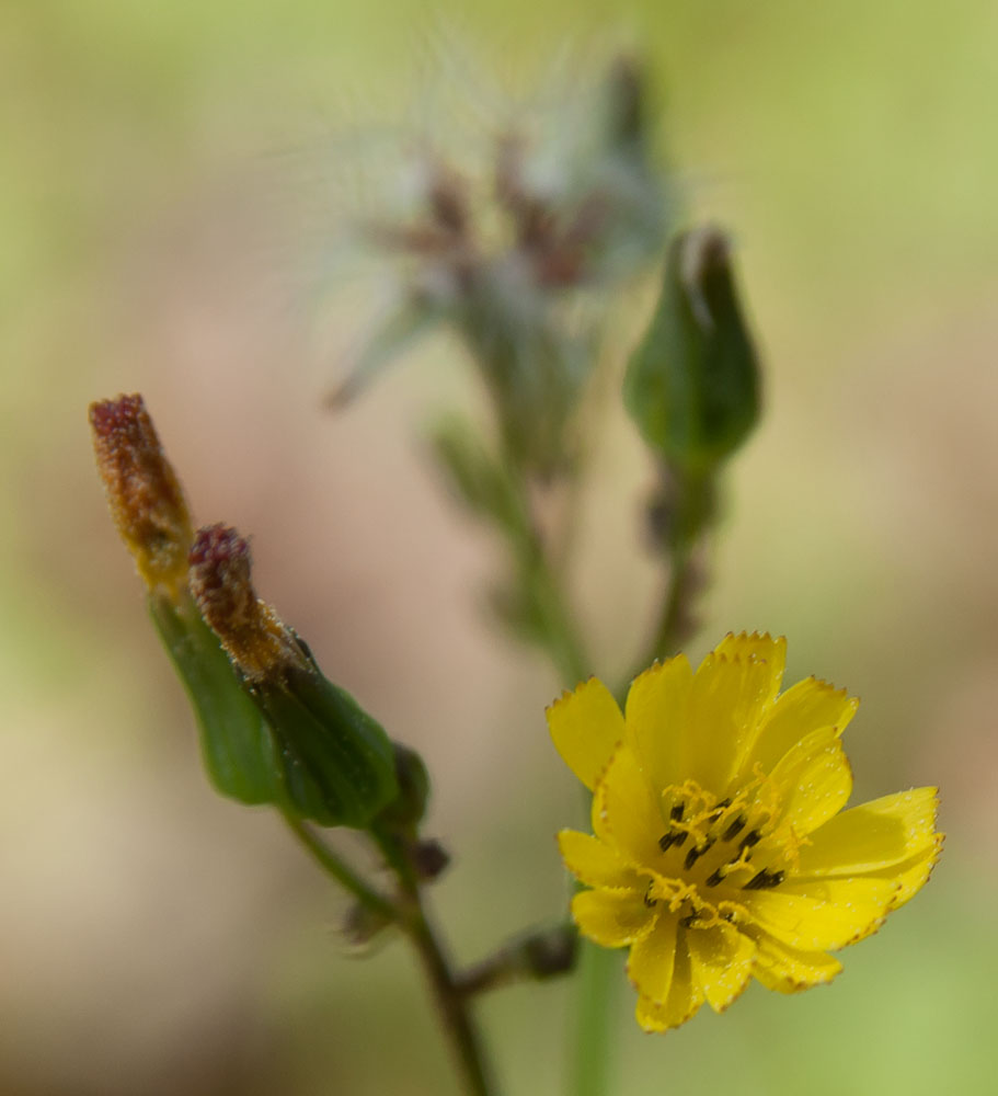 DSC_5589.jpg