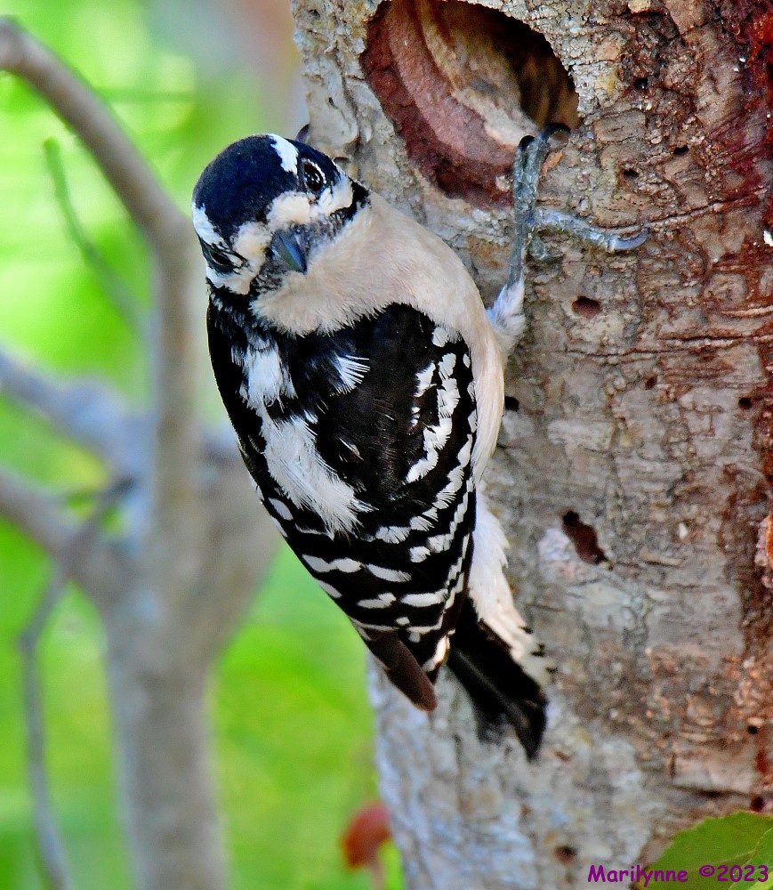 DSC_5590_001.JPG