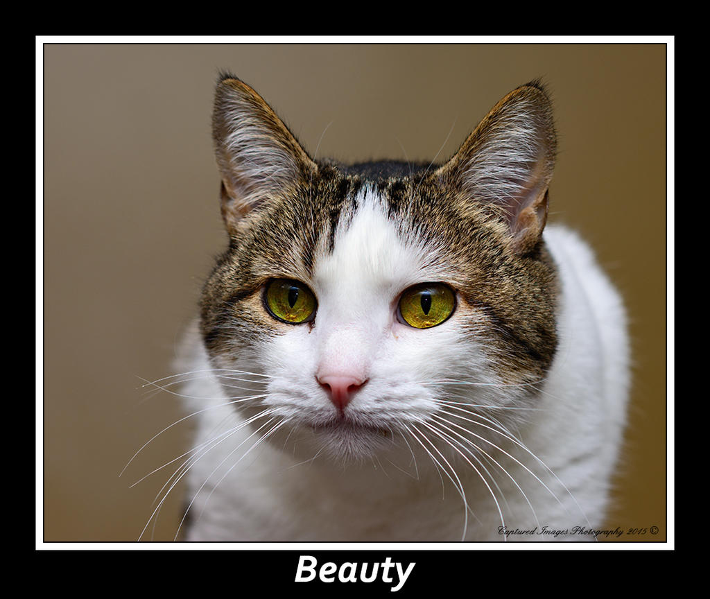 DSC_5590_Web.jpg