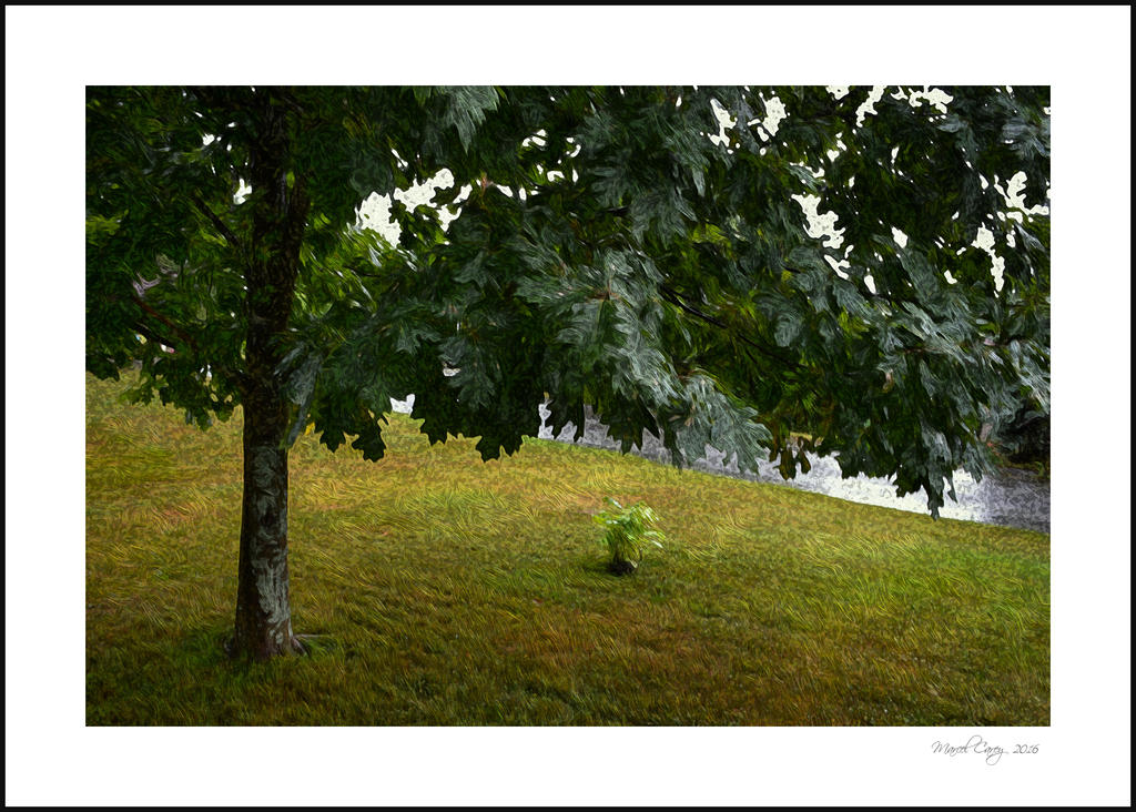 DSC_5591.jpg
