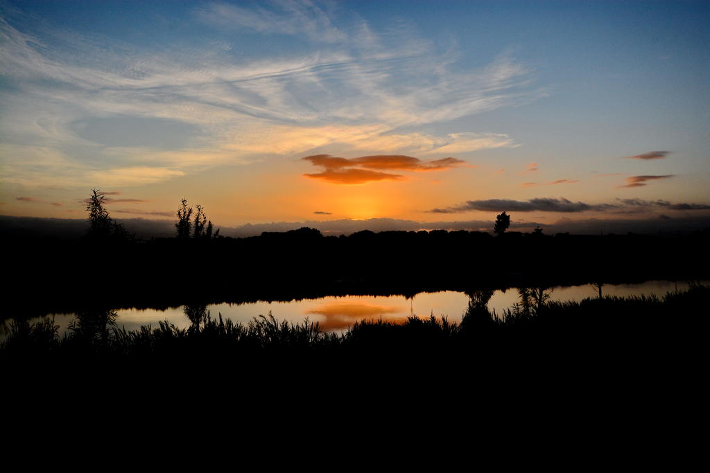 DSC_5592.jpg
