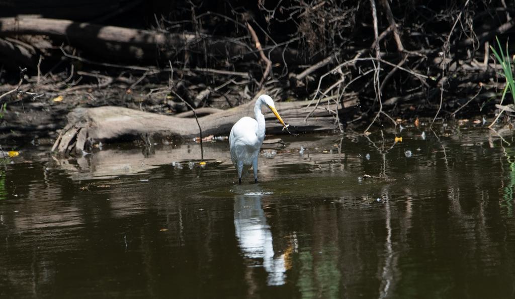 DSC_5592.jpg