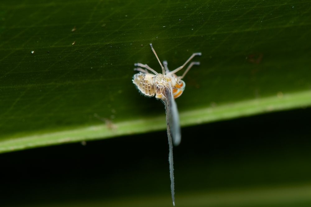 DSC_5595.jpg