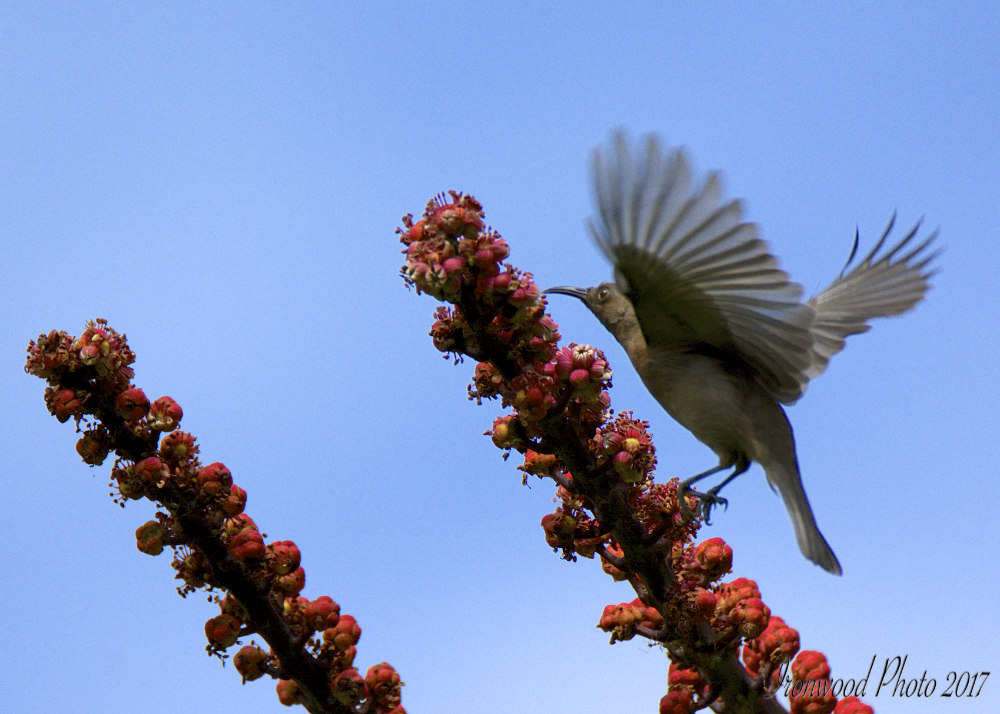 DSC_5598.jpg