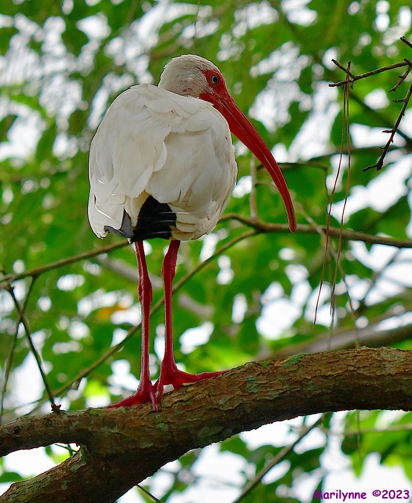DSC_5599_001.JPG
