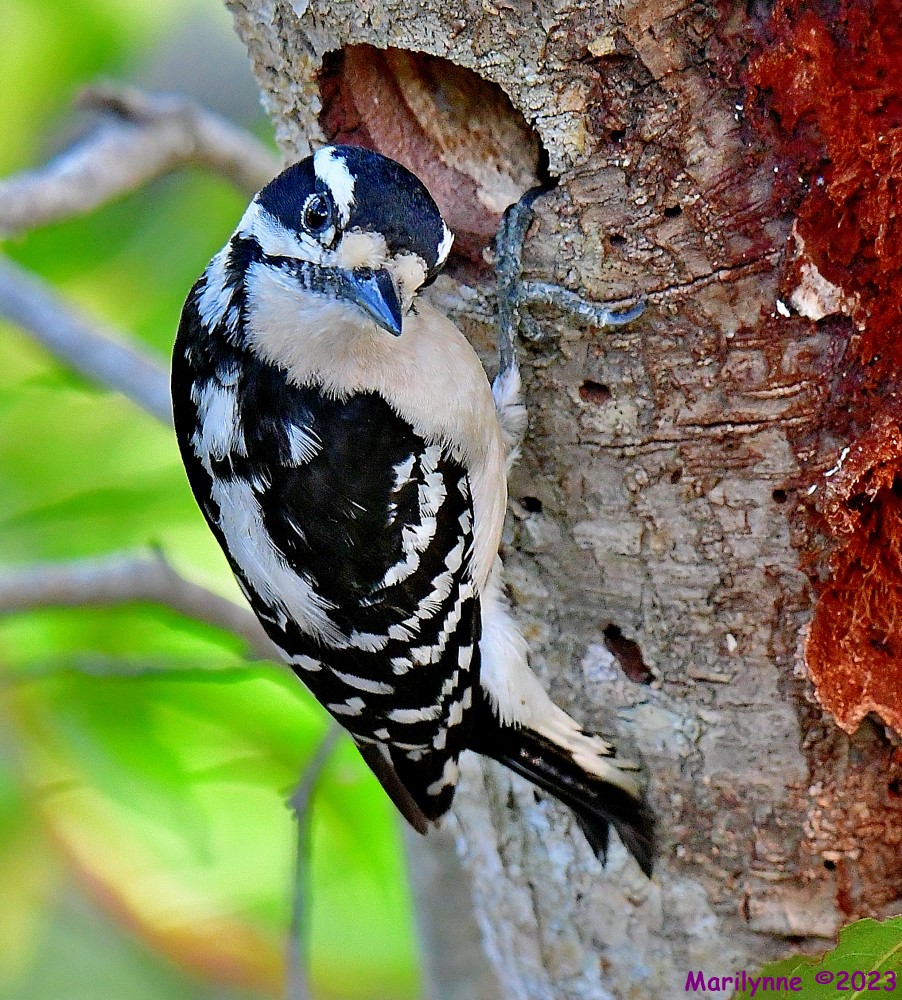 DSC_5601_001.JPG