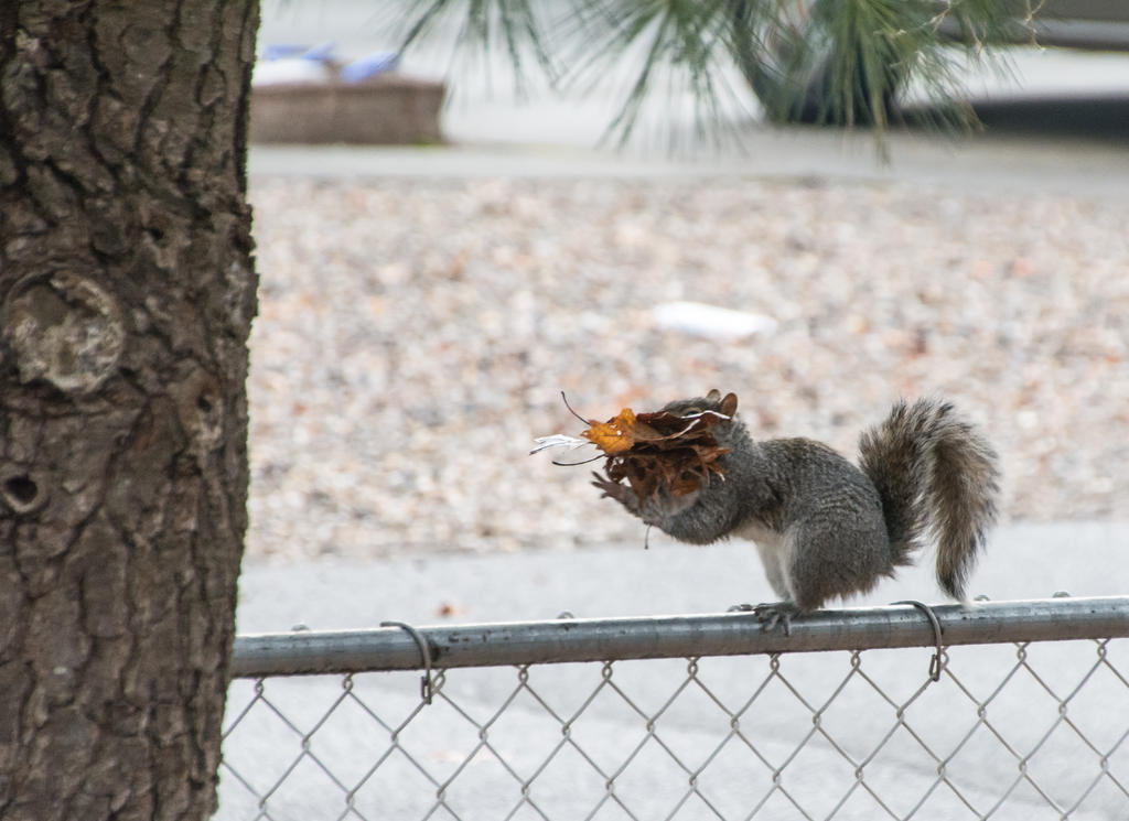 DSC_5603.jpg