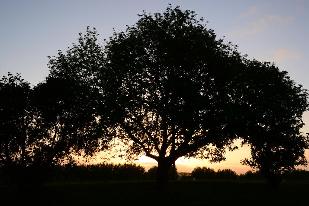 DSC_5606.jpg