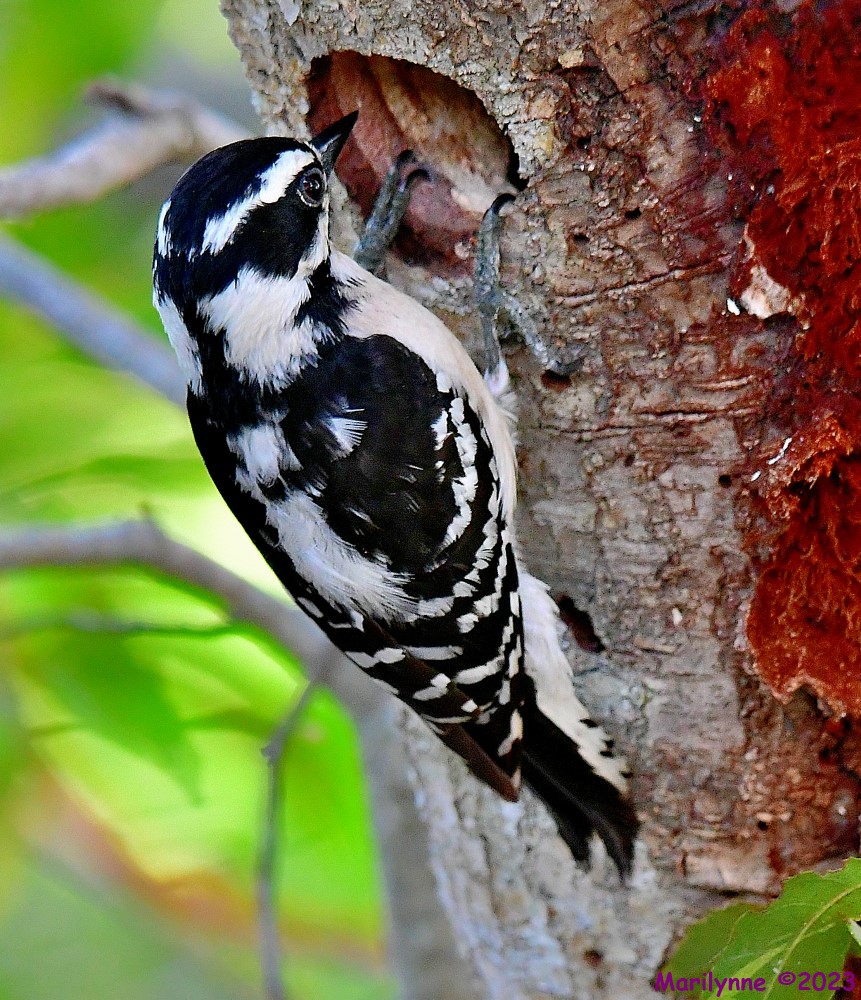 DSC_5606_001.JPG