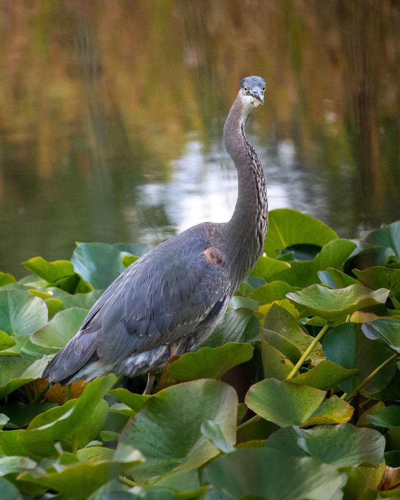 DSC_5608.jpg