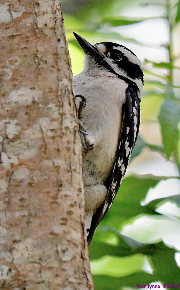 DSC_5608_001.JPG