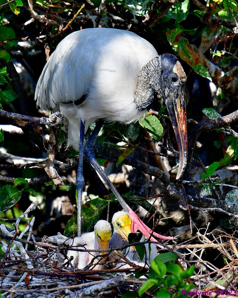 DSC_5613_001.JPG