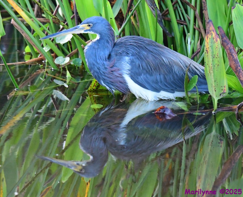 DSC_5615_001.JPG