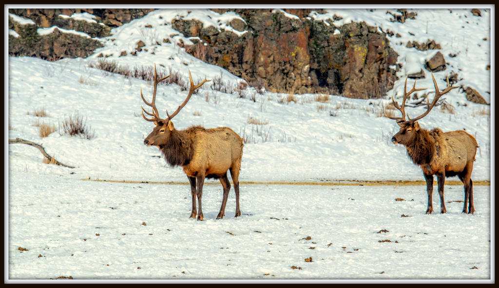 DSC_5616-Edit.jpg