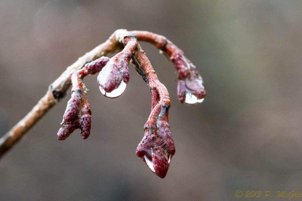 DSC_5616.jpg