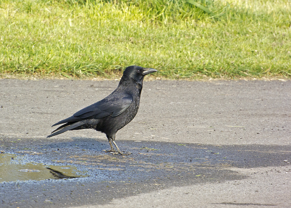 DSC_5618.jpg