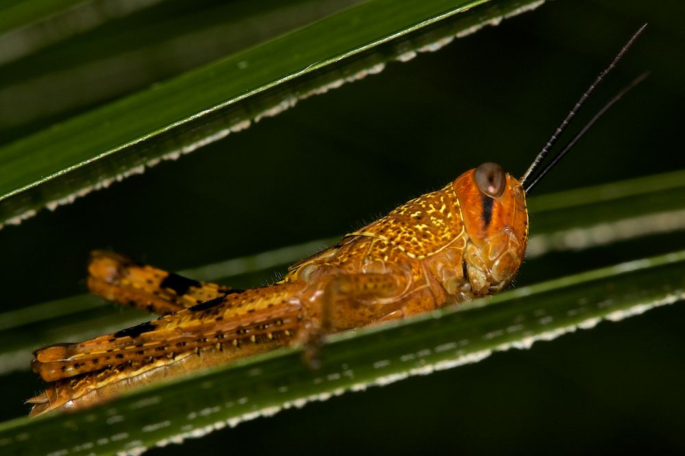 DSC_5618.jpg
