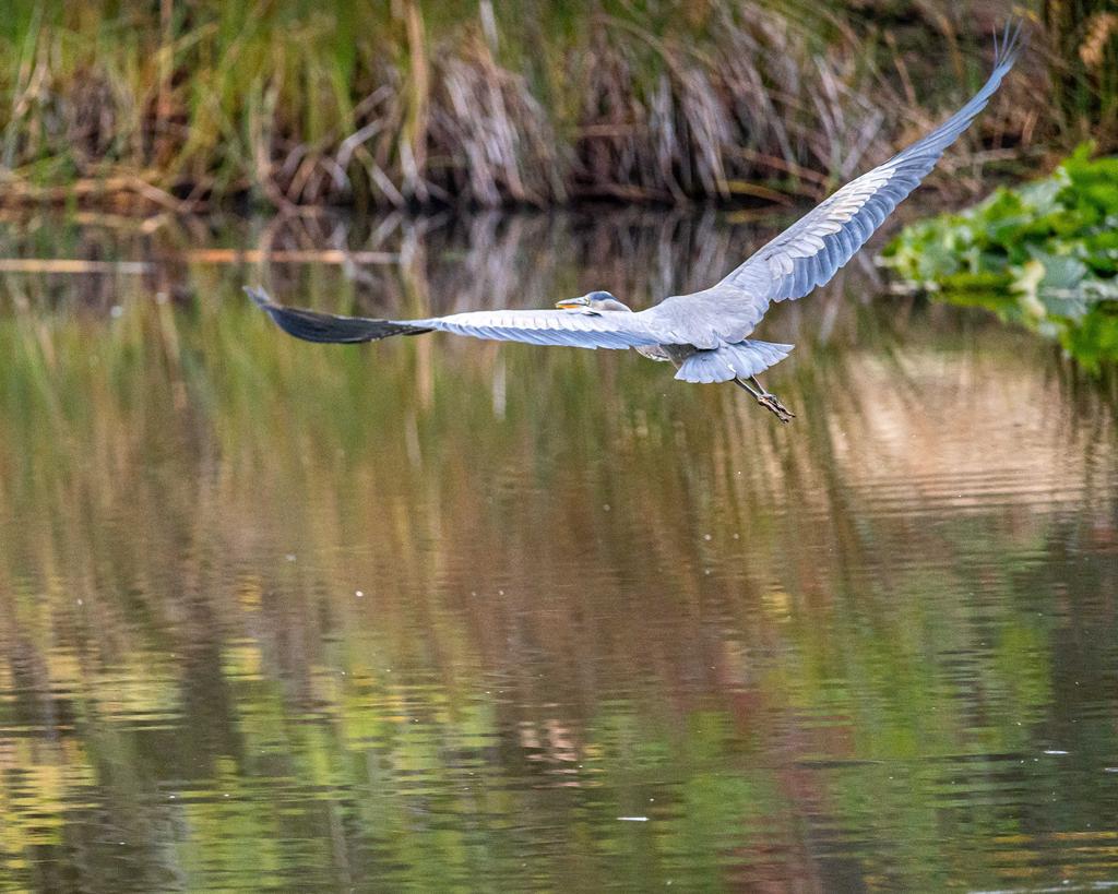 DSC_5620.jpg