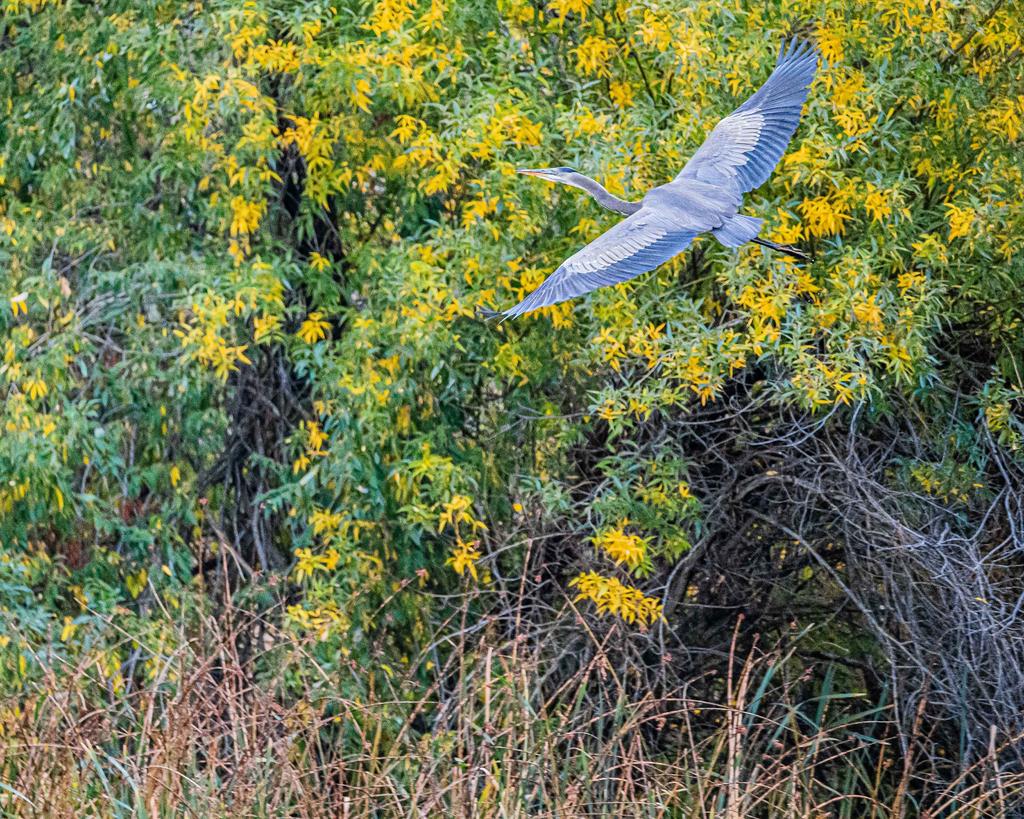 DSC_5622.jpg