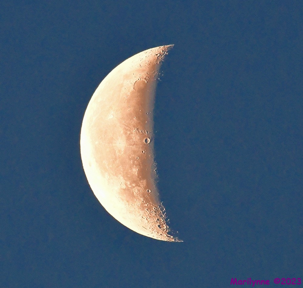 DSC_5622_001.JPG