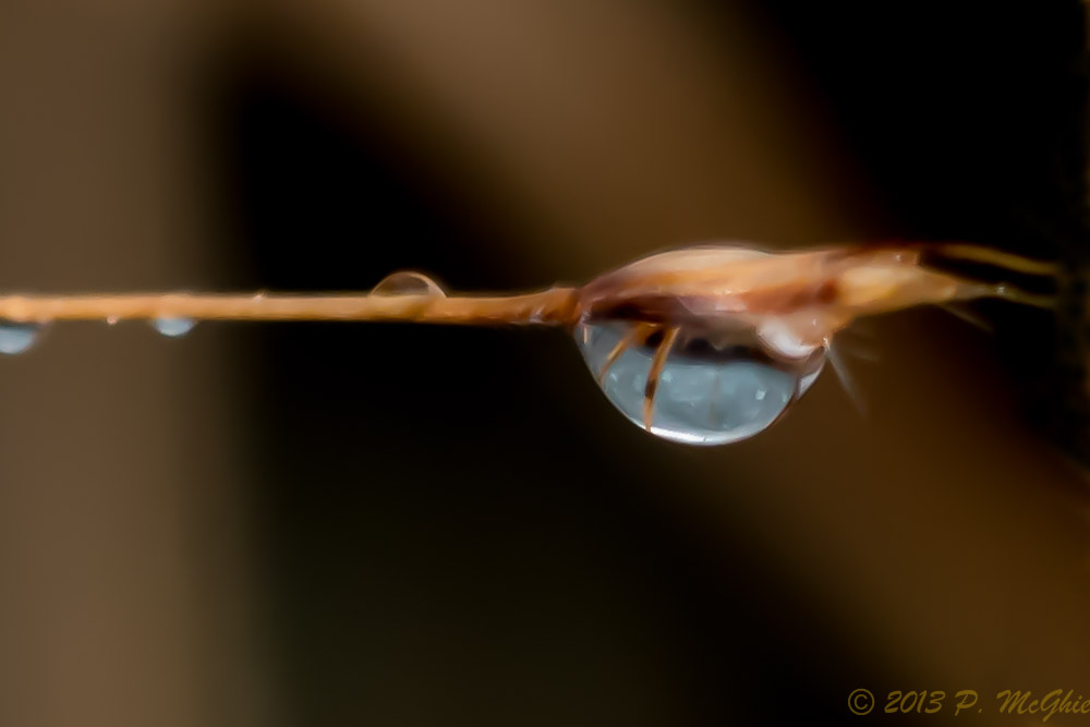 DSC_5623-Edit.jpg