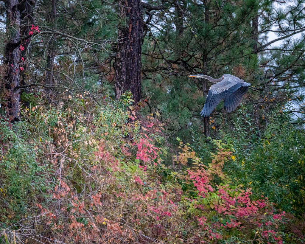 DSC_5623.jpg