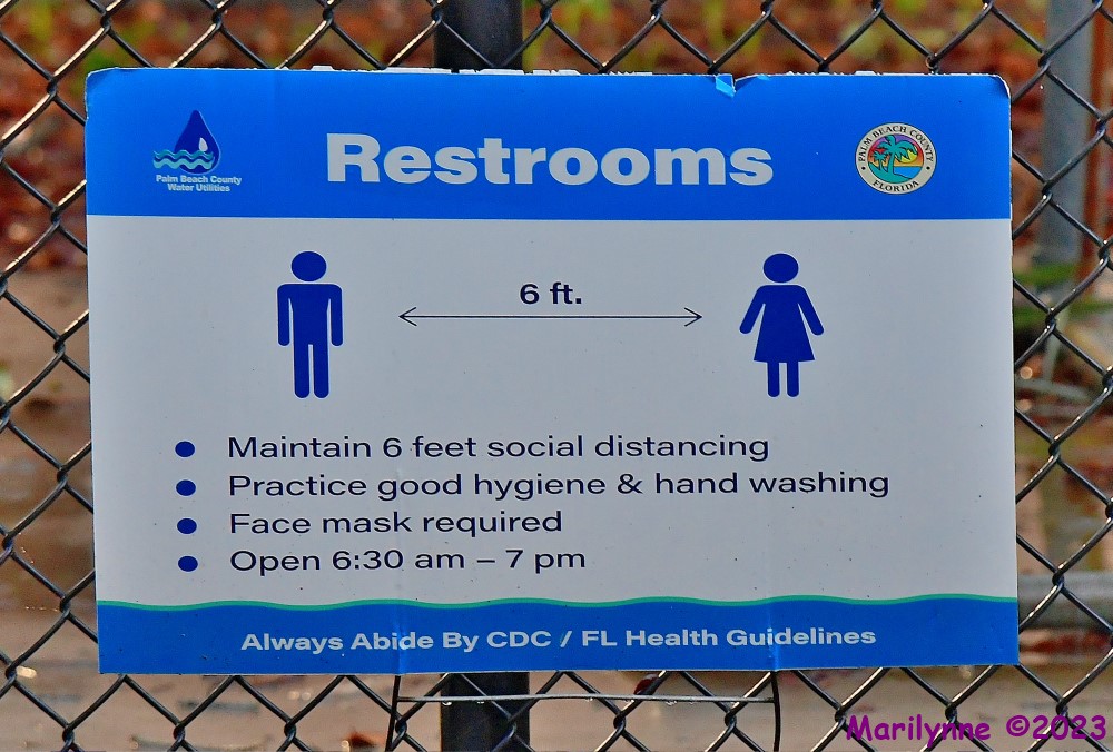 DSC_5624_001.JPG