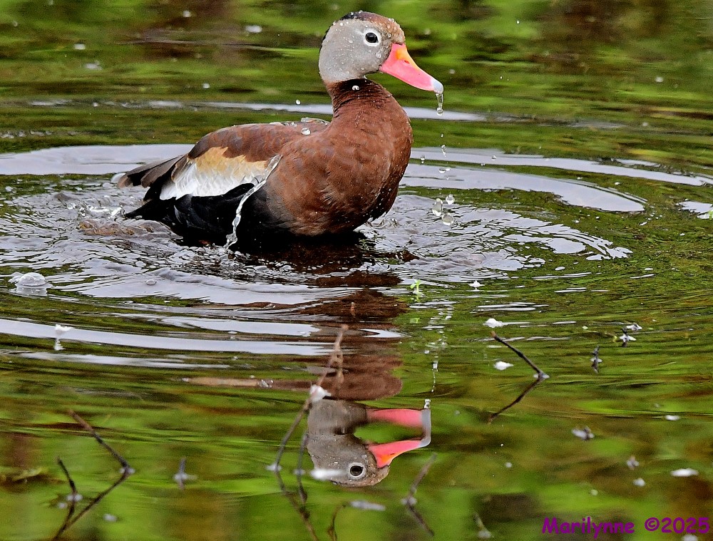 DSC_5624_001.JPG