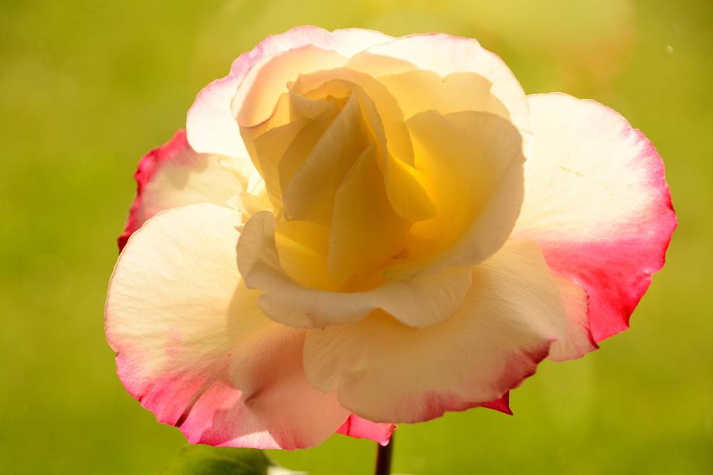 DSC_5627.jpg
