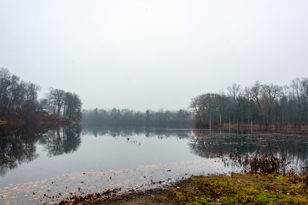 DSC_5628.jpg