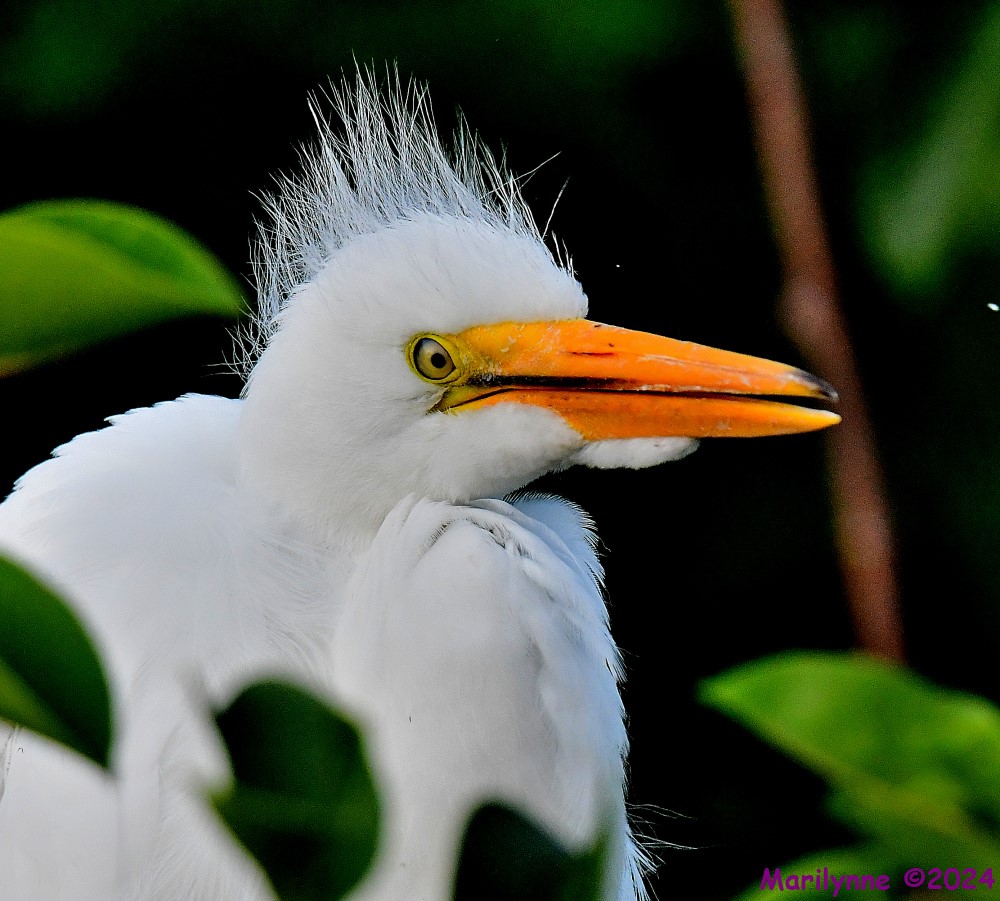 DSC_5628_001.JPG