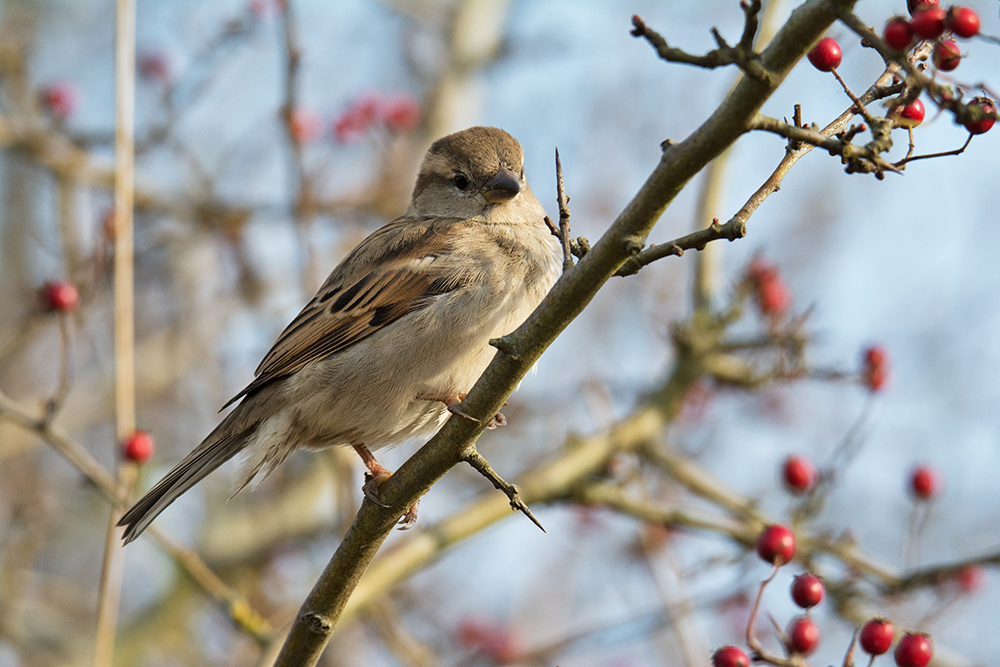 DSC_5629.jpg
