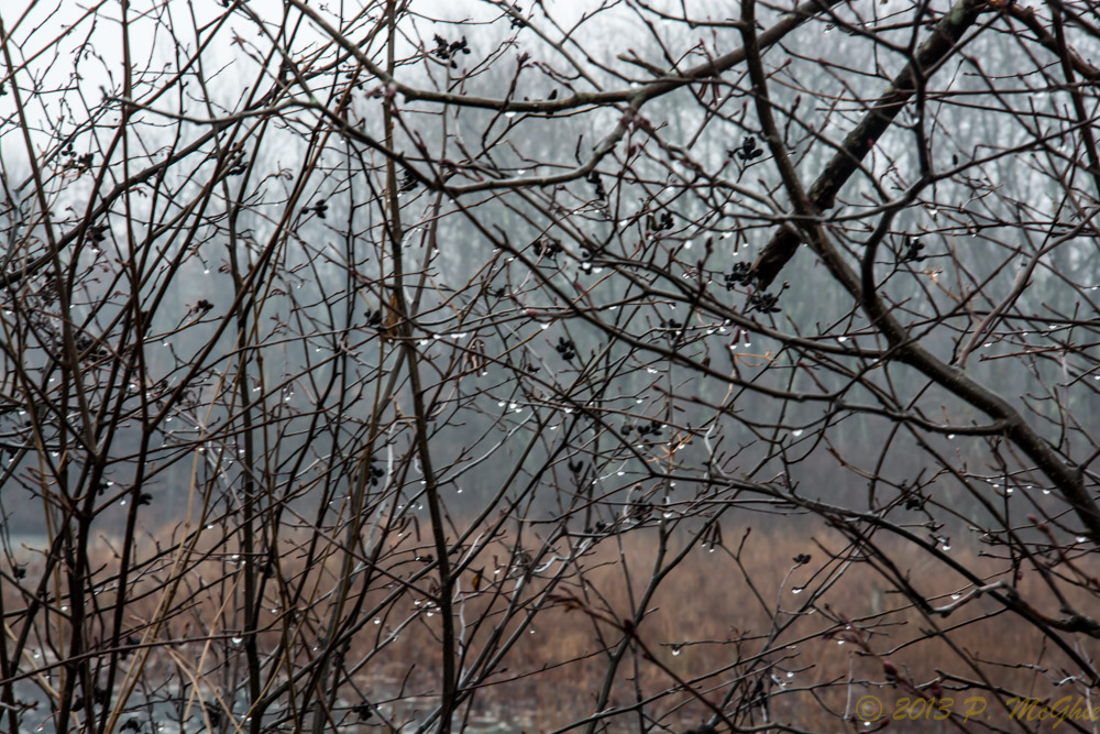 DSC_5629.jpg