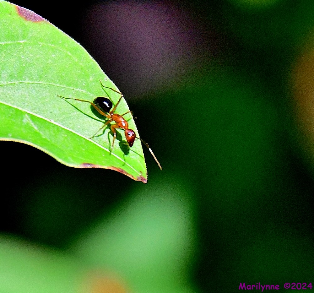 DSC_5630_001.JPG