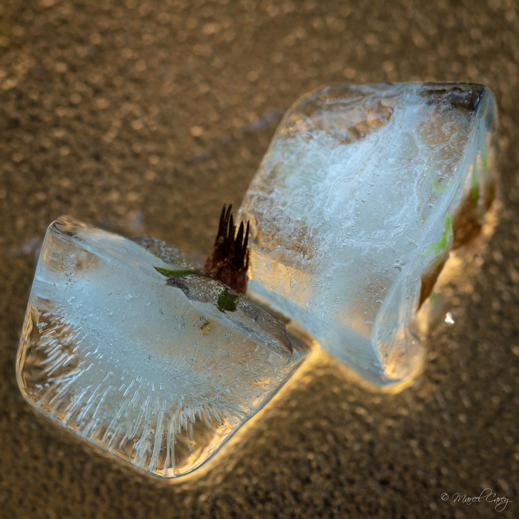 DSC_5632.jpg