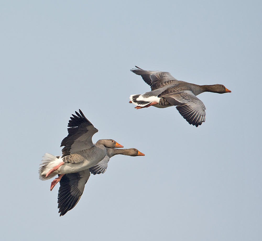 DSC_5635.jpg