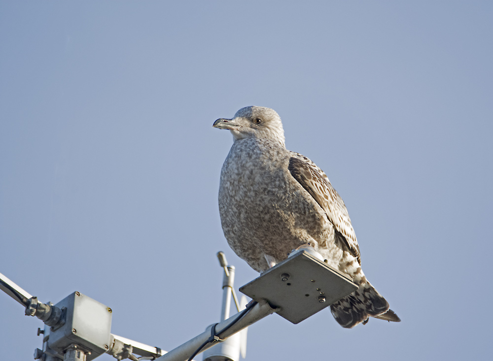DSC_5635.jpg