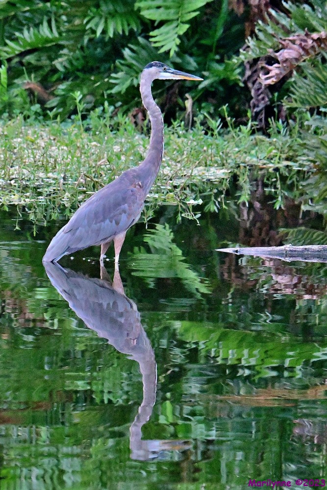 DSC_5637_001.JPG