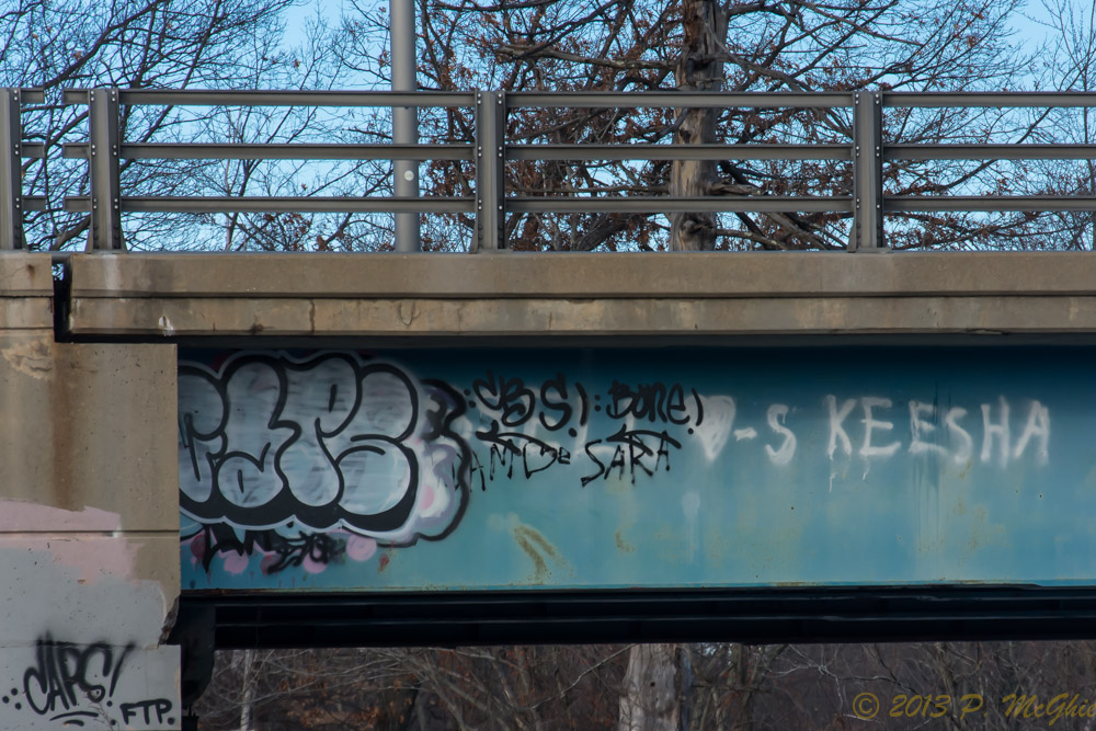 DSC_5643.jpg