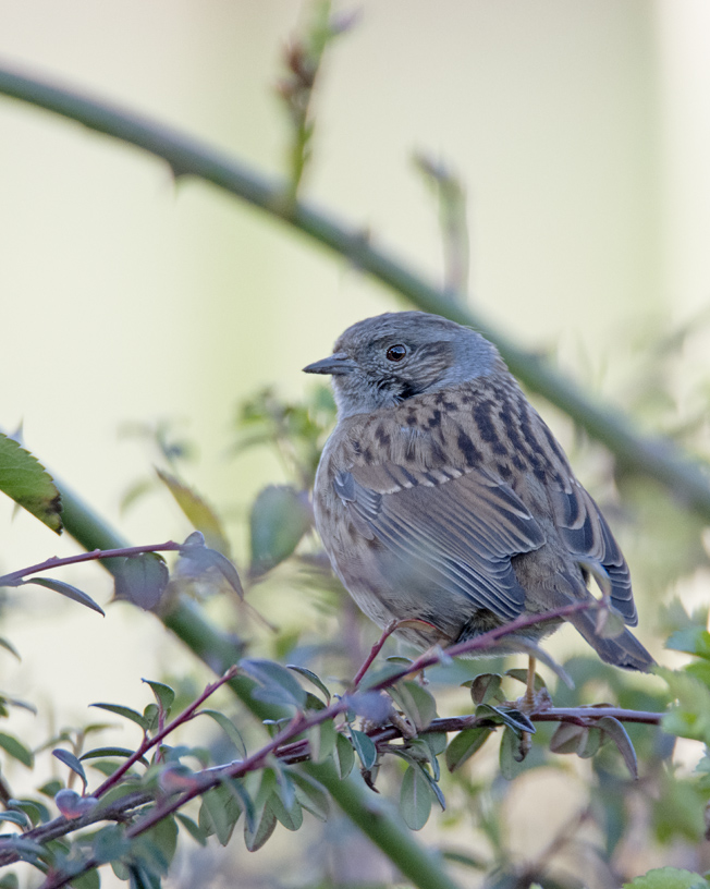 DSC_5644.jpg
