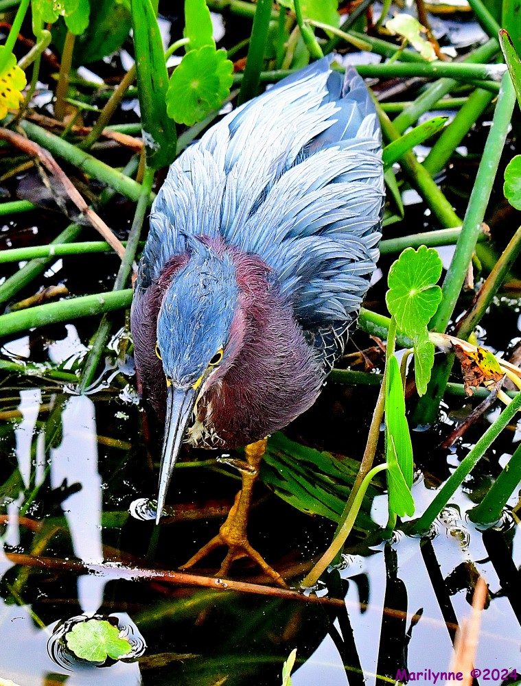 DSC_5644_001.JPG