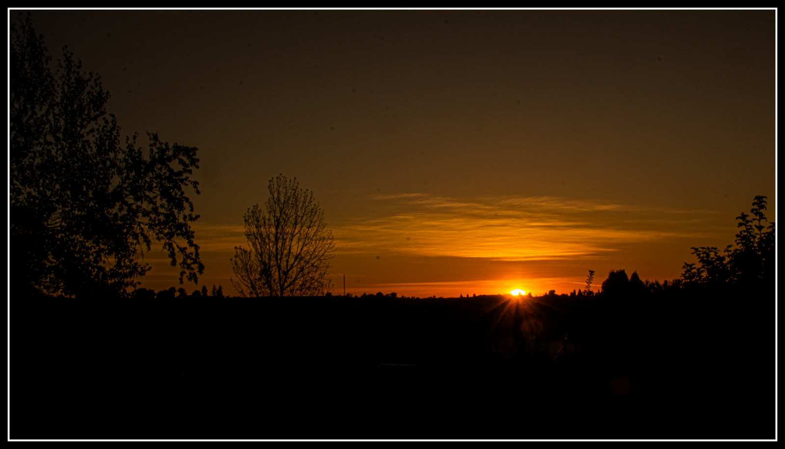 DSC_5645-2.jpg