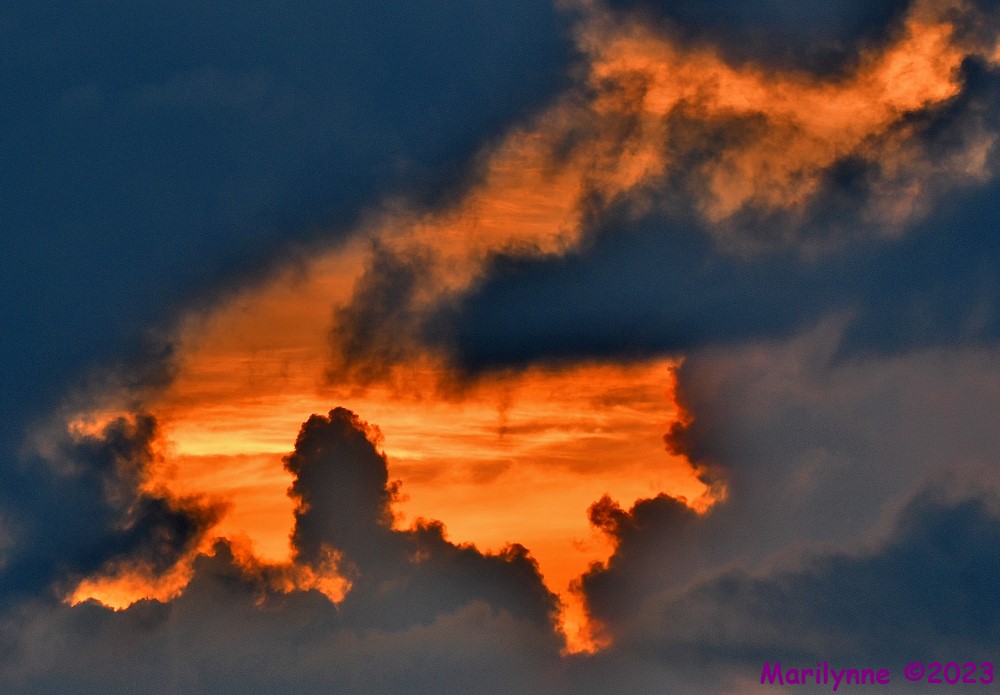 DSC_5646_001.JPG