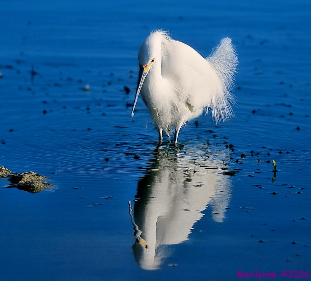 DSC_5647 copy_001.JPG