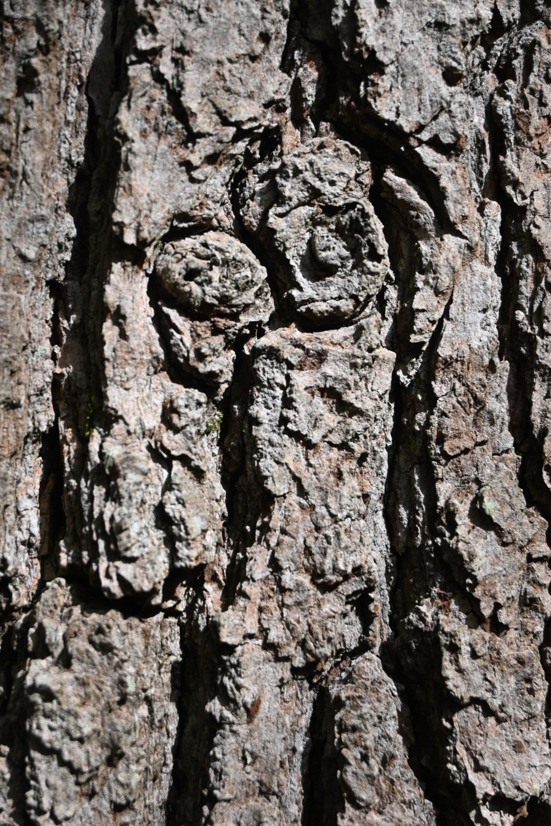 DSC_5650.JPG