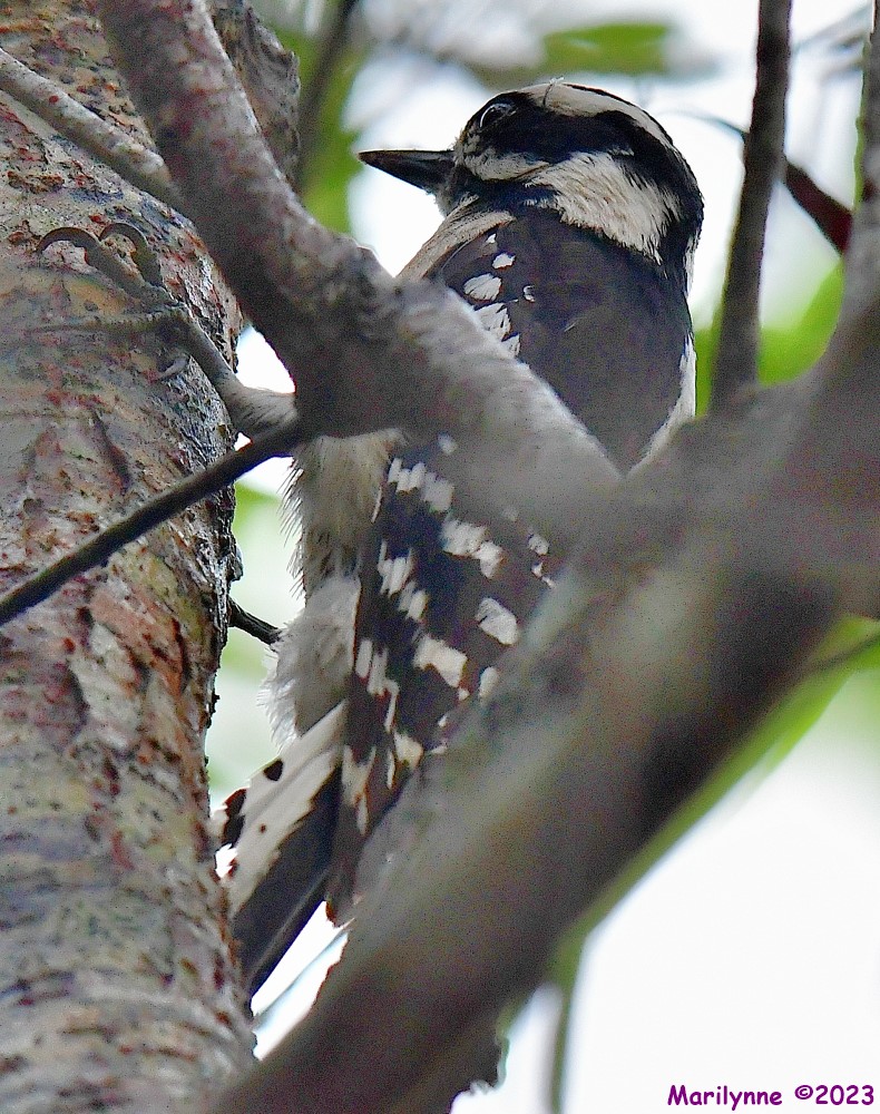 DSC_5650_001.JPG